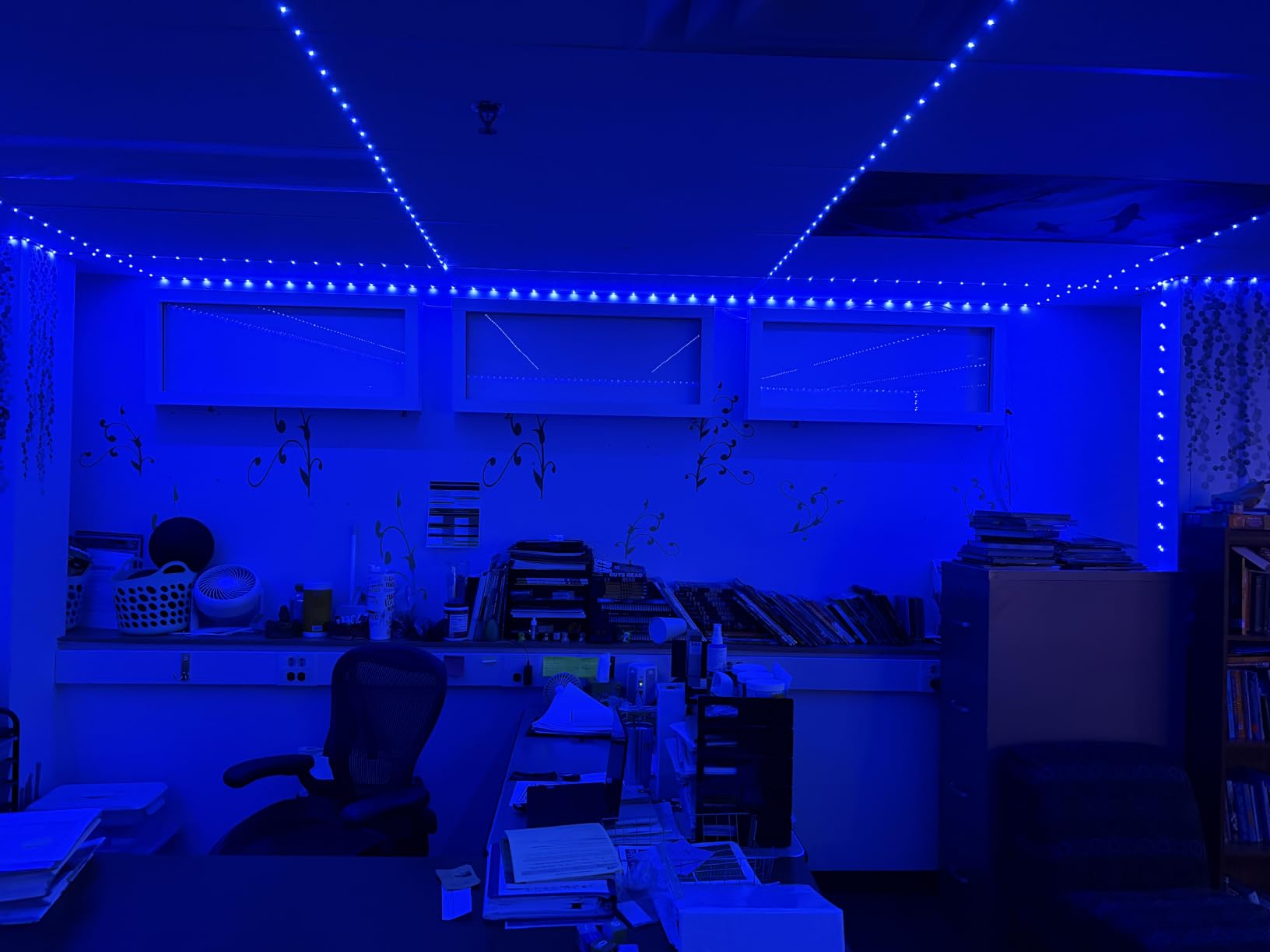 DAYBETTER LED Strip Lights 130ft Lights Strip for Bedroom, Desk, Indoor Room Bedroom Birthday Gifts RGB Decor with Remote and 24V Power Supply customer photo 1