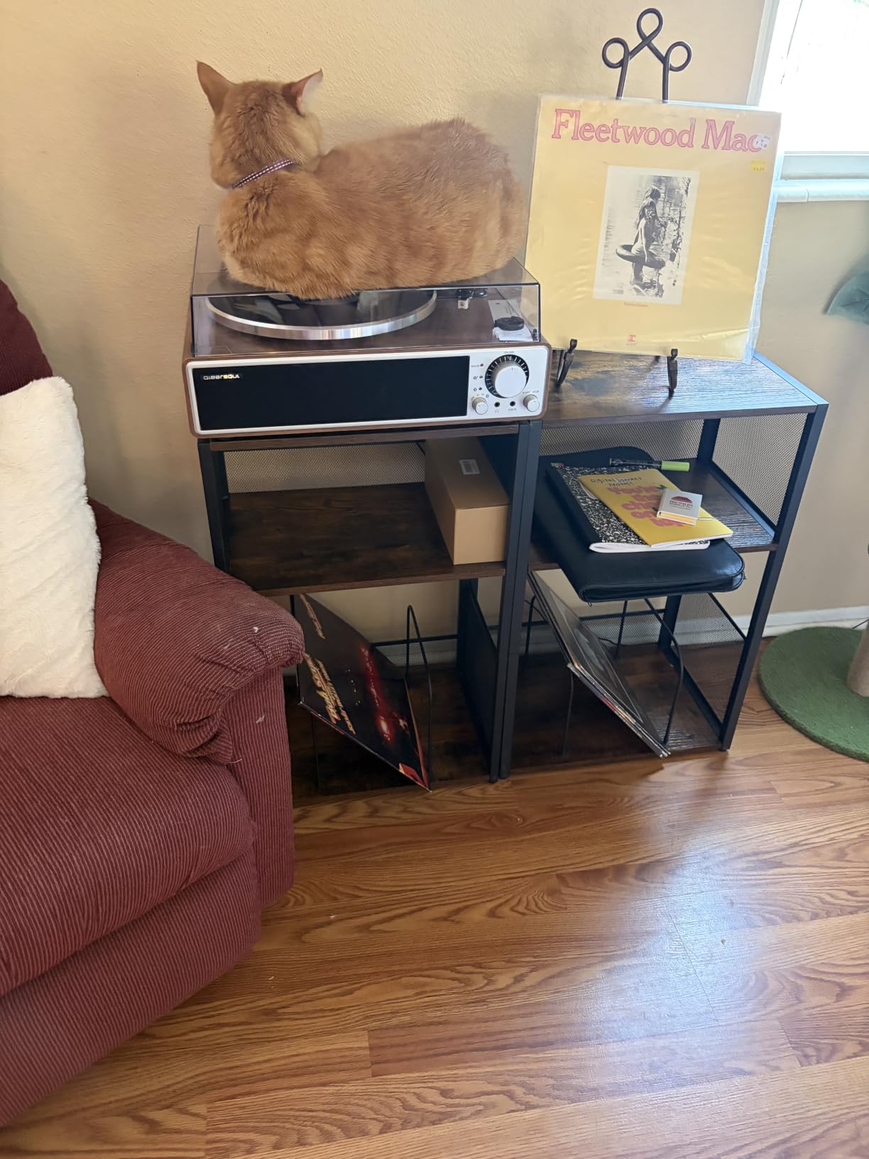 VASAGLE 3-Tier Record Player Stand, Vinyl Record Storage up to 100 Albums customer photo 1