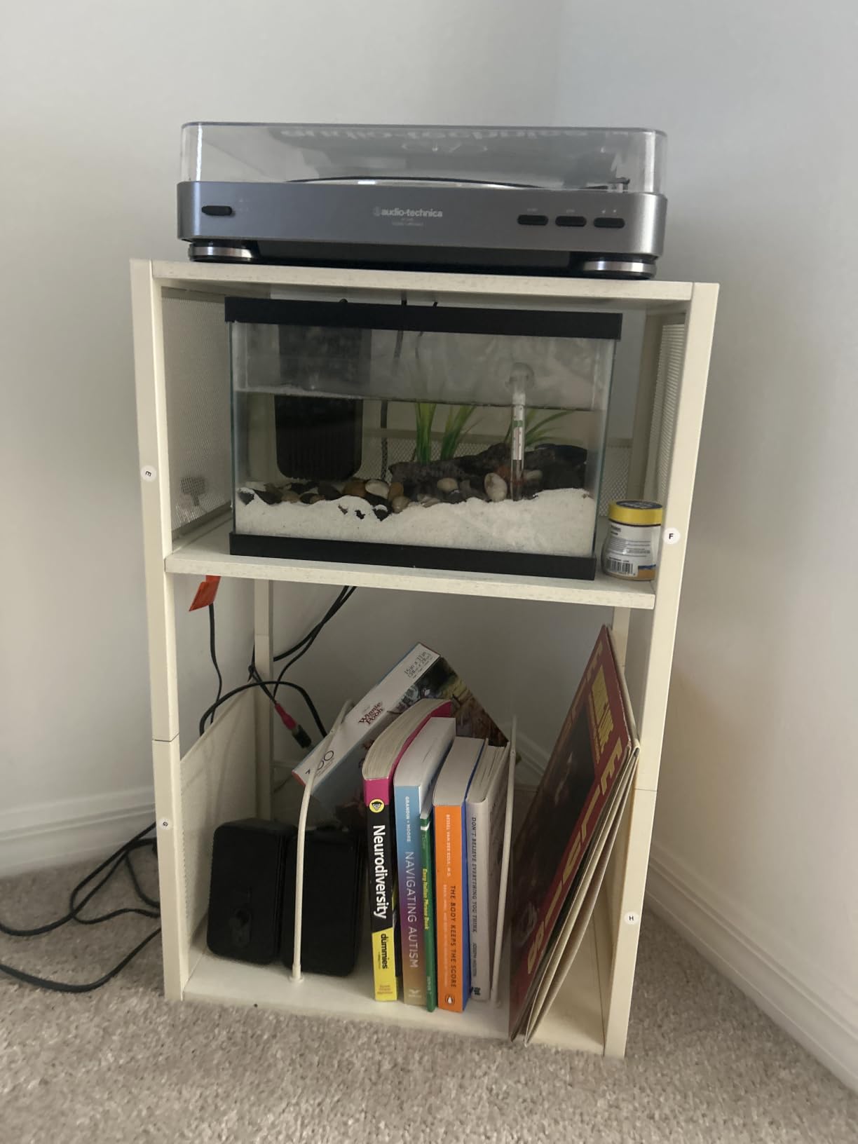 VASAGLE 3-Tier Record Player Stand, Vinyl Record Storage up to 100 Albums customer photo 2