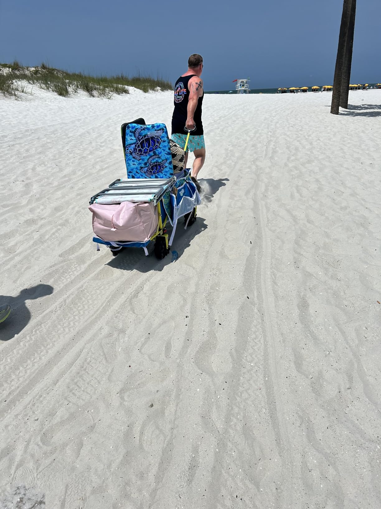 Beach Wagon with Big Wheels for Sand, Flip-Out Tailgate, 330 lb Capacity customer photo 2
