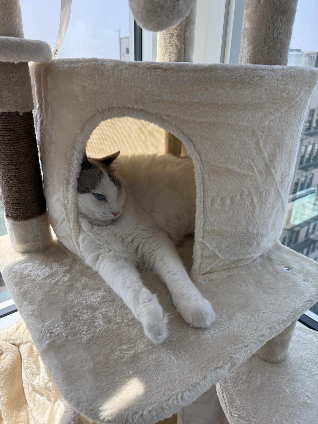 Globlazer 66inch Corner Cat Tree Tower for Indoor Large Cats, C66, Beige customer photo 2