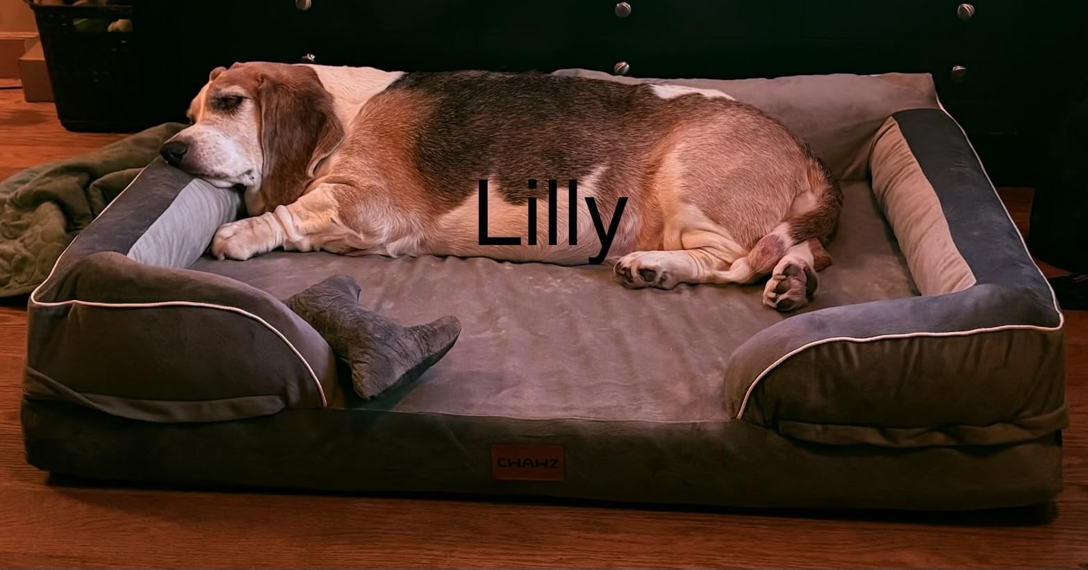 CWAWZ Extra Large Dog Bed, Orthopedic Dog Bed with Cooling Gel Memory Foam, Waterproof XL Pet Bed with Removable Washable Cover, 42