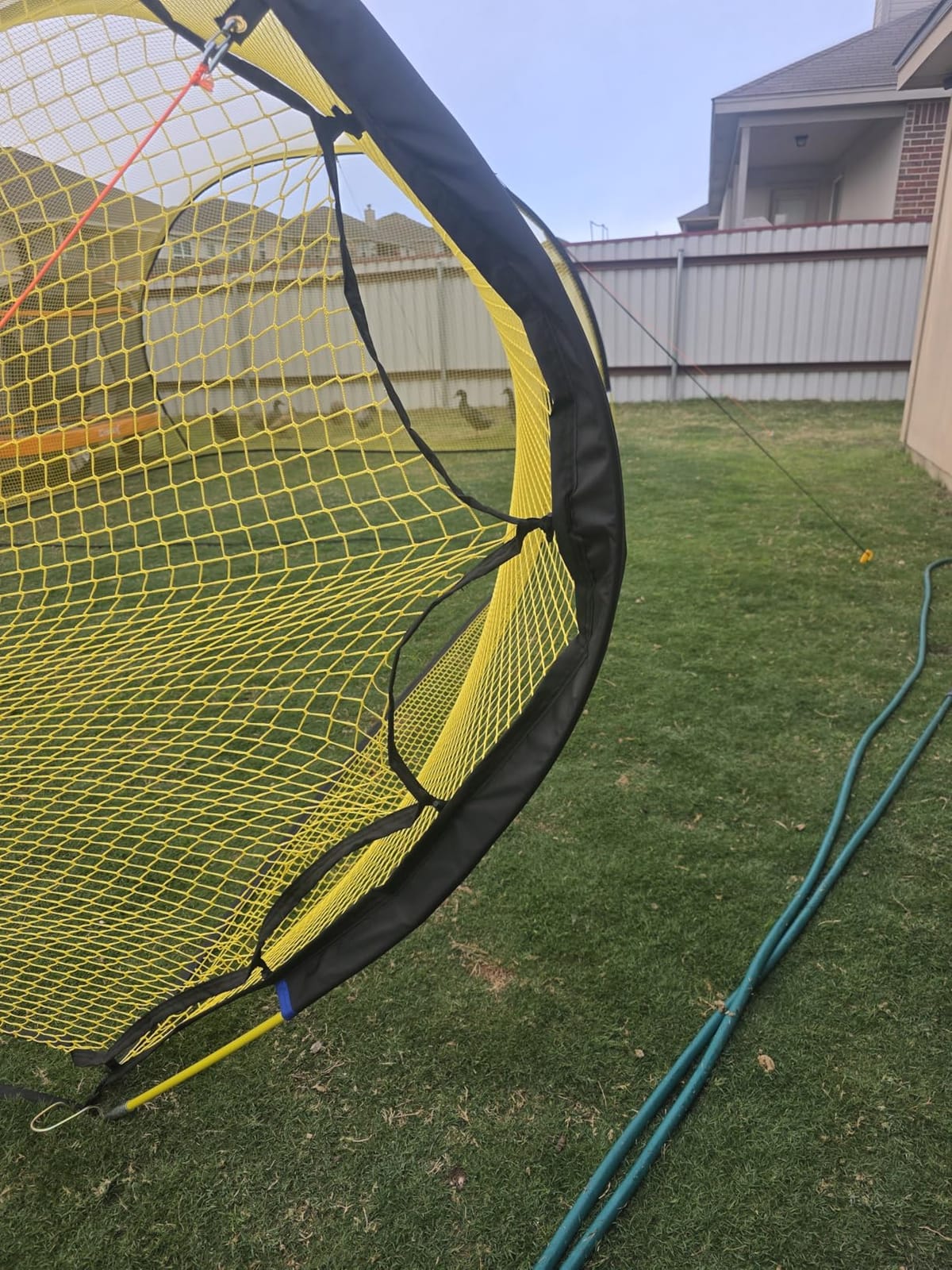 Apex Sports Portable Batting Cage 22x12x8 Ft, Baseball & Softball Net Cage customer photo 2