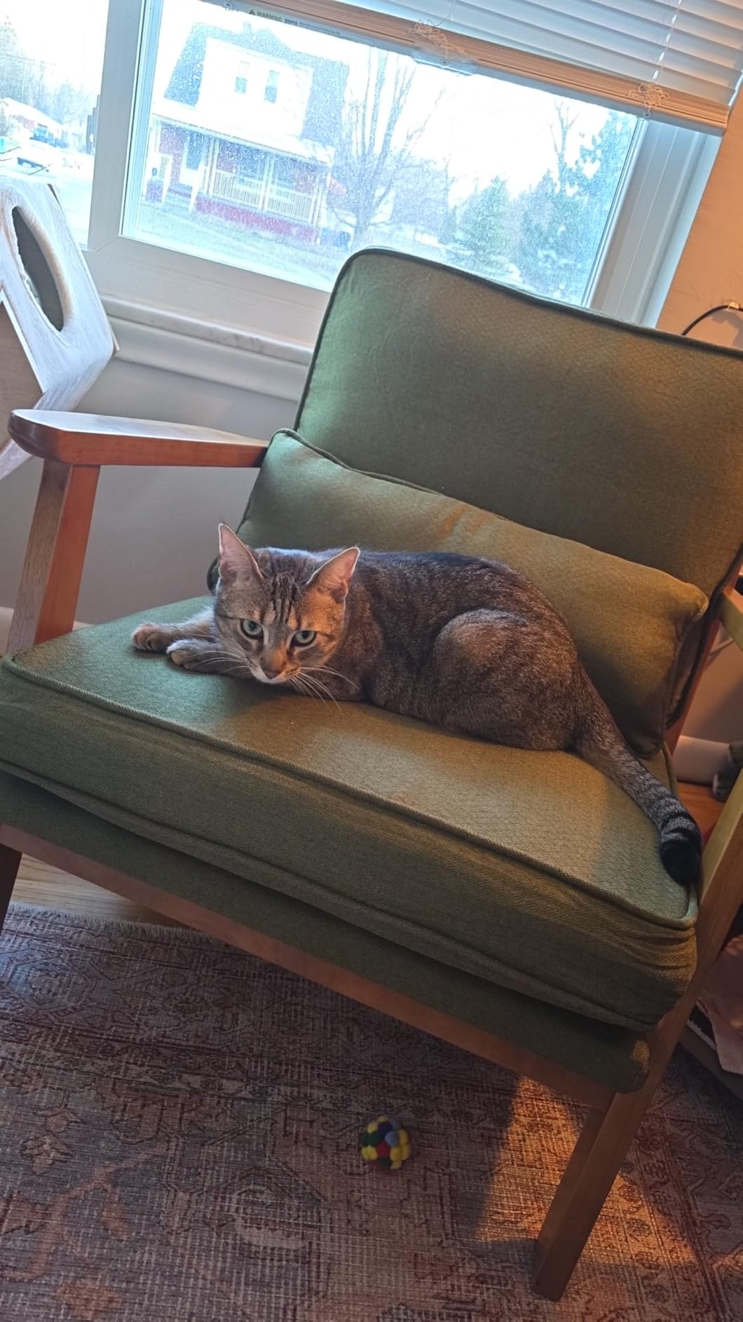 Karl home Mid-Century Lounge Accent Chair, Green customer photo 1