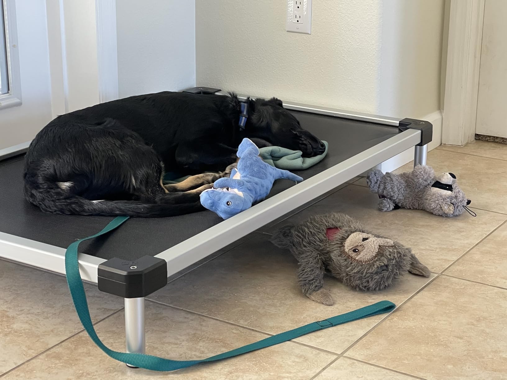 FXW TitanNest Cooling Chew-Proof Elevated Dog Bed for Toy Dogs customer photo 2