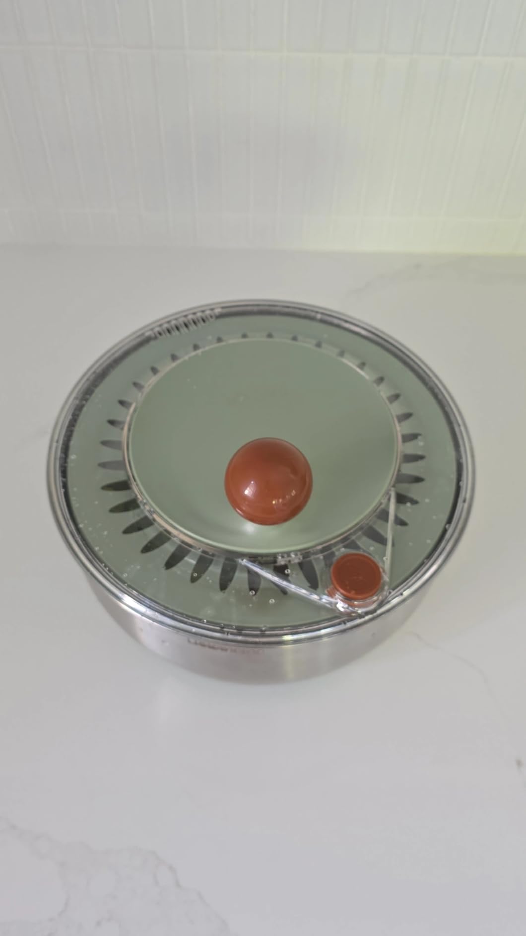Lunememo Stainless Steel Salad Spinner, BPA Free, Quick Dry & Stop, 5.3 Qt customer photo 2