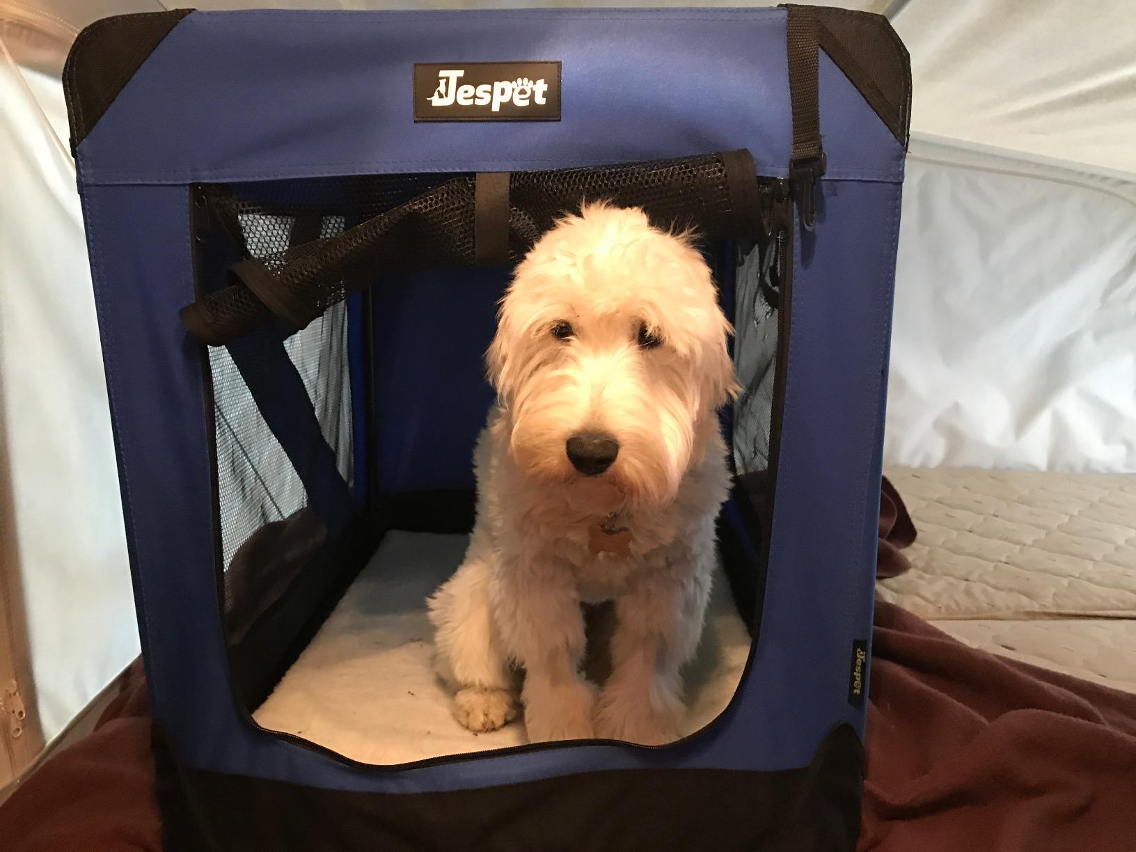 JESPET 3 Door Soft Dog Crates Kennel, Collapsible Travel Pet Carrier customer photo 2