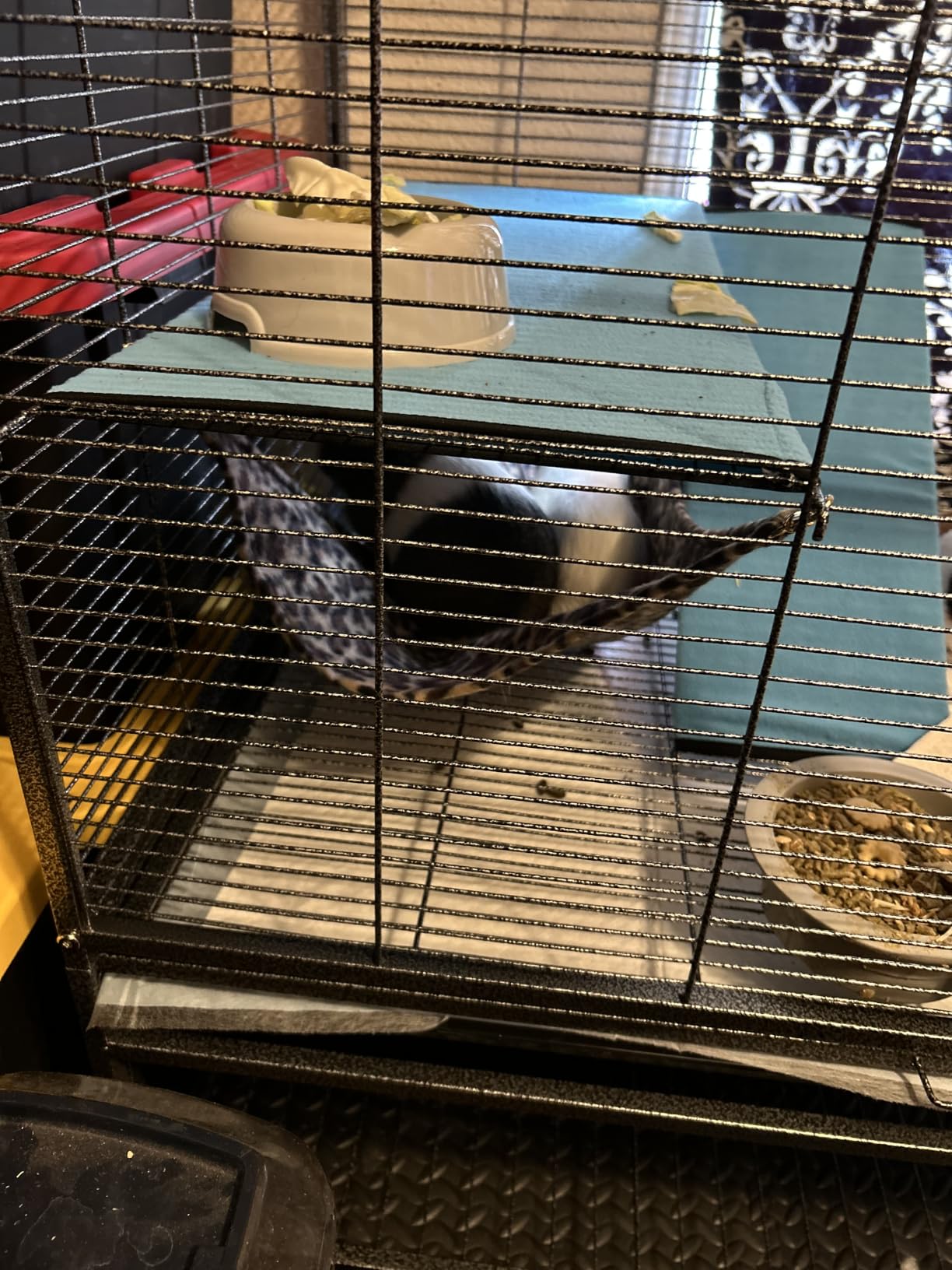Deluxe Double Unit Two Full Story Small Animal Critter Home Rolling Cage customer photo 1