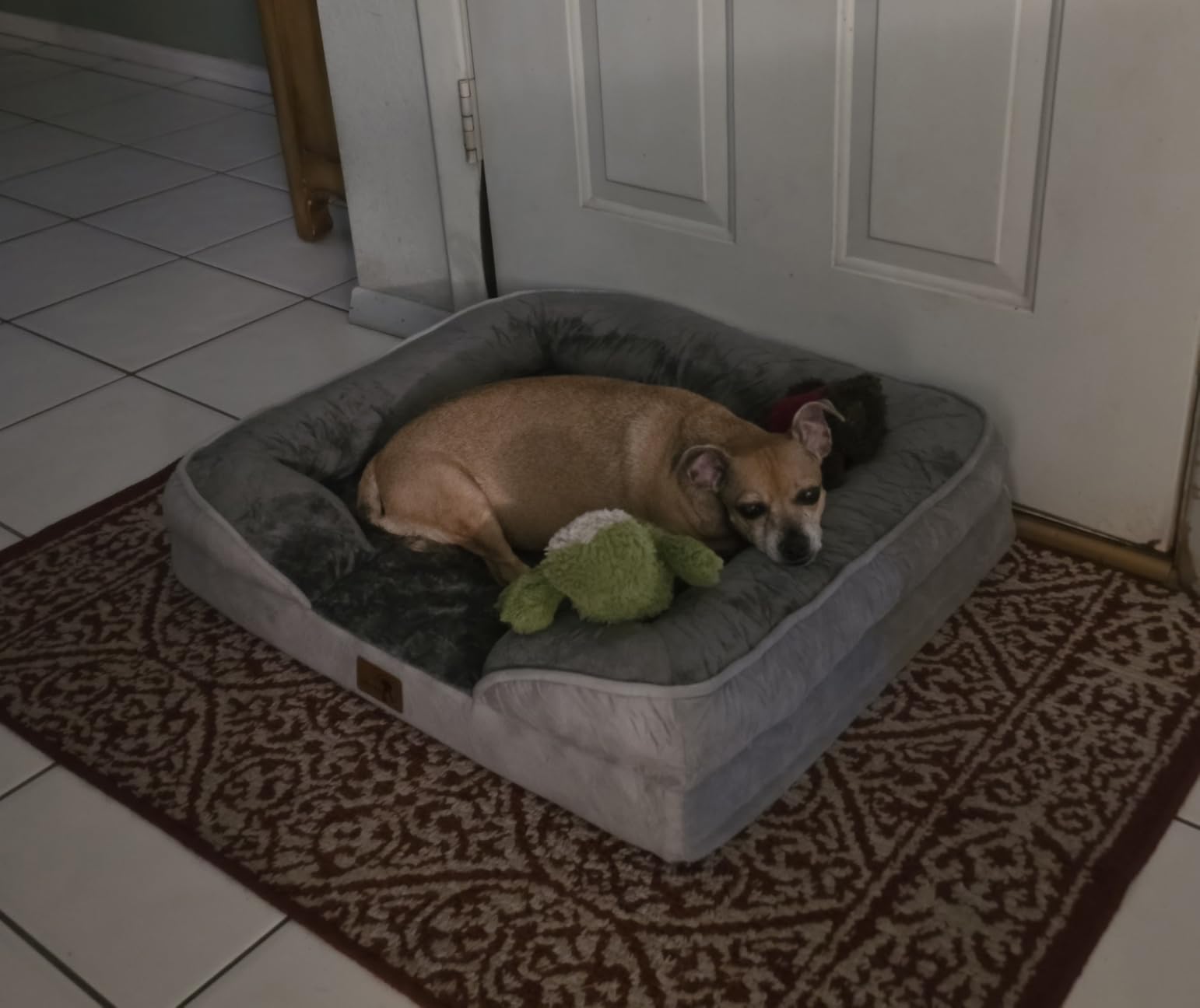 Spotted Play Orthopedic Dog Bed with Sides - Dog Sofa Beds for Medium Dogs, Supportive Foam Pet Couch Bed with Washable Removable Cover, Waterproof Lining and Non-Slip Bottom, Grey - M customer photo 2