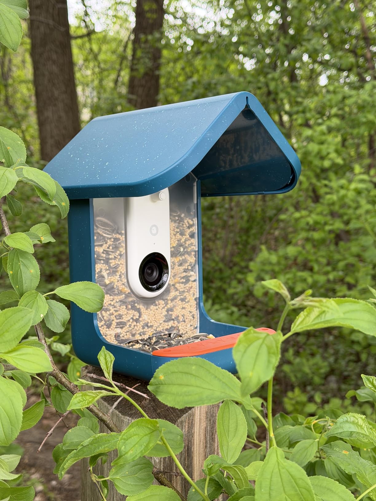 Birdbuddy Pro Solar Smart Bird Feeder with Camera, AI Bird ID, 2K Video customer photo 1