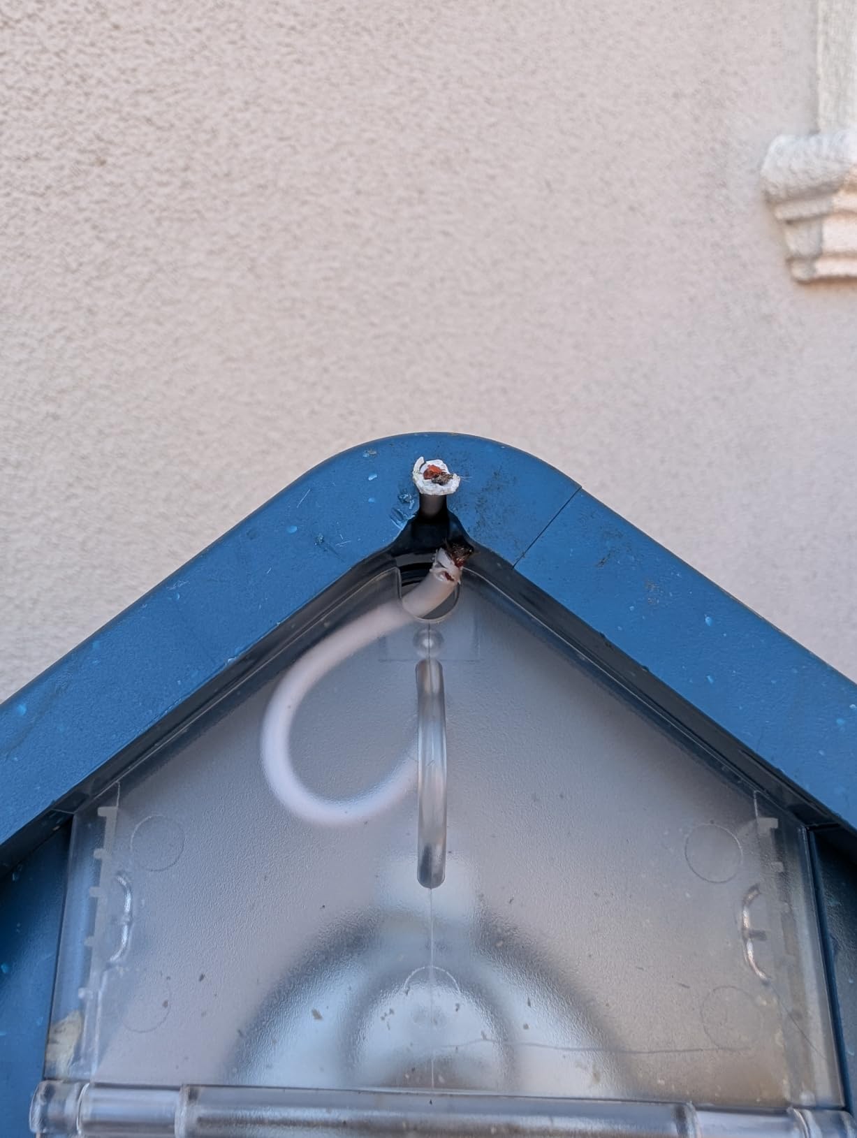 Birdbuddy Pro Solar Smart Bird Feeder with Camera, AI Bird ID, 2K Video customer photo 2