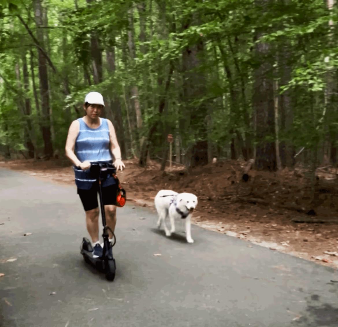 iScooter Electric Scooter for Adults, Foldable E-Scooter for Commuting customer photo 2
