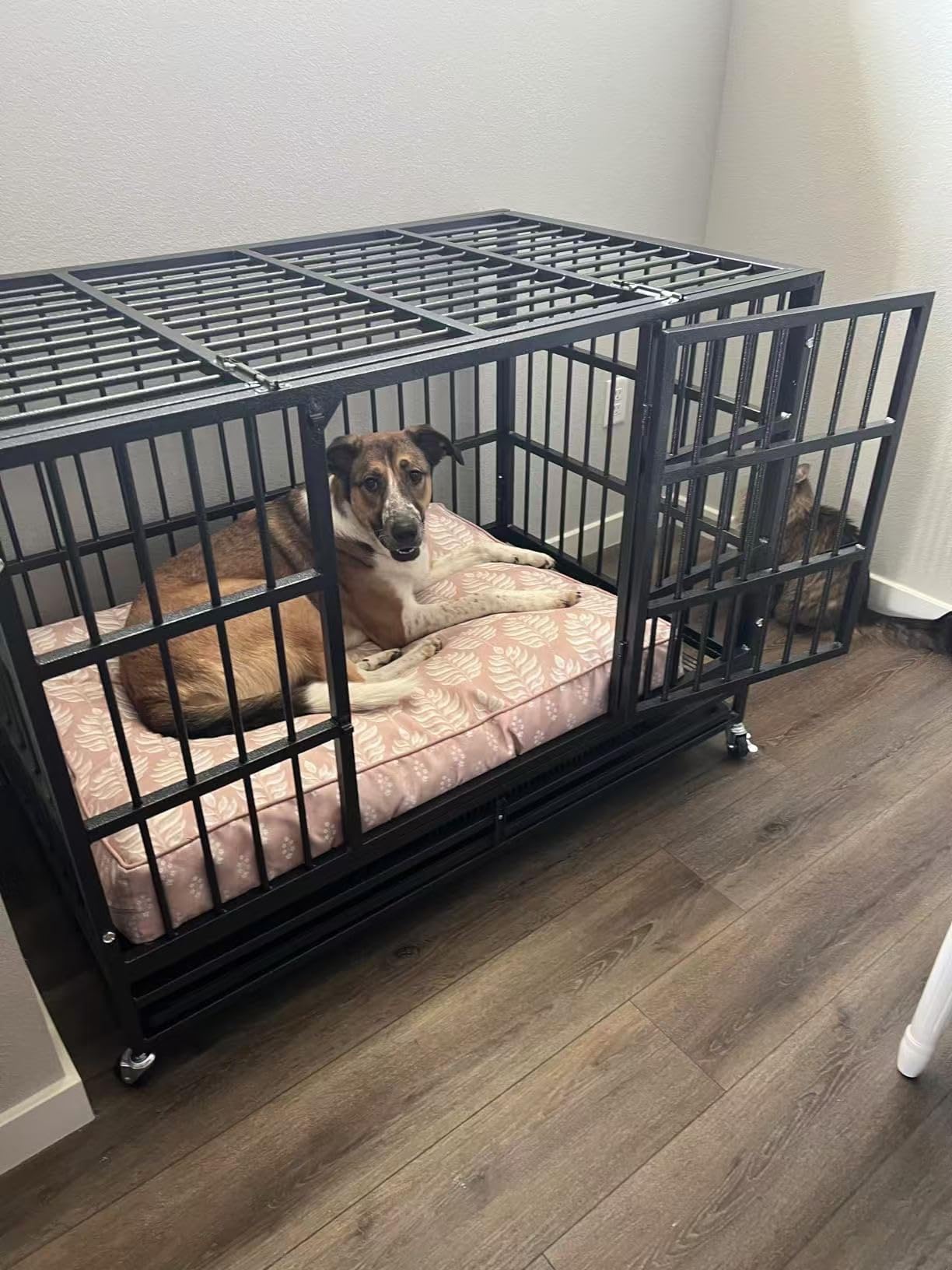 JY QAQA Heavy Duty Dog Crate, 38 Inch Indestructible Metal Kennel with Double Doors, Escape Proof Cage for Large Dogs with Removable Tray & Lockable Wheels customer photo 1
