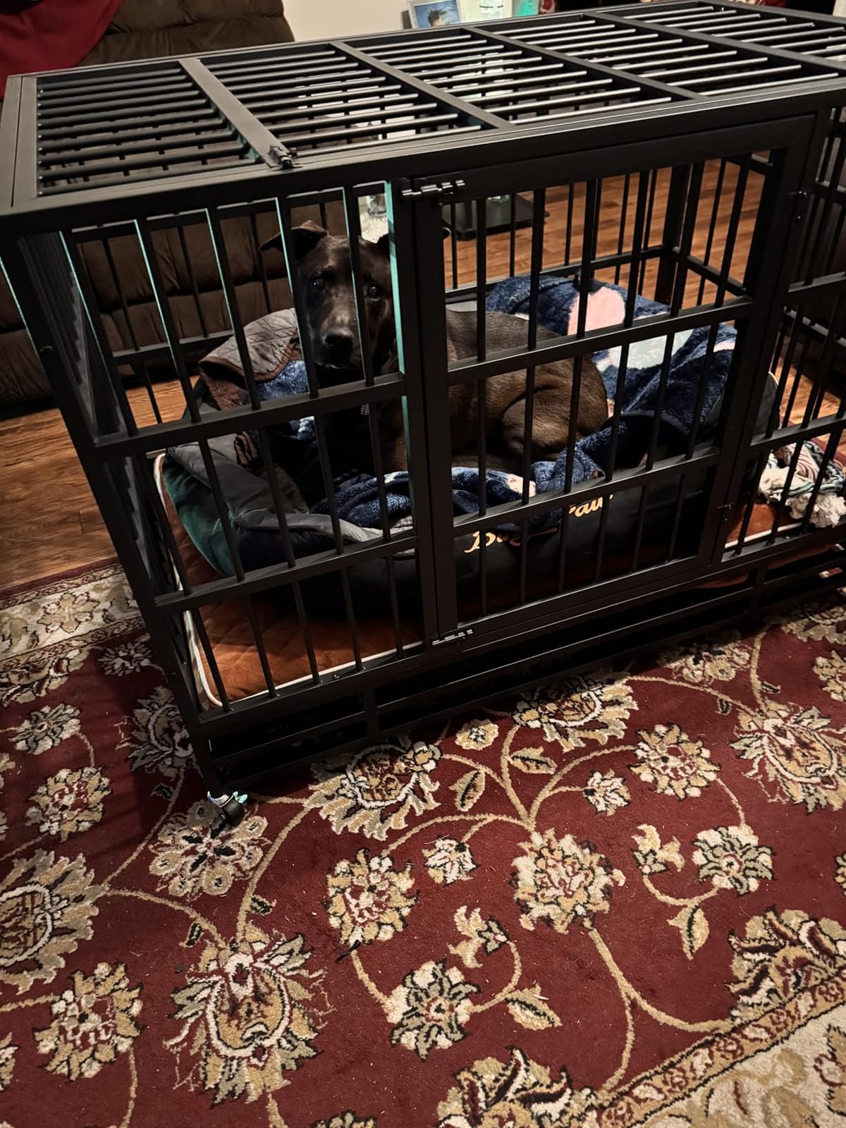JY QAQA Heavy Duty Dog Crate, 38 Inch Indestructible Metal Kennel with Double Doors, Escape Proof Cage for Large Dogs with Removable Tray & Lockable Wheels customer photo 2