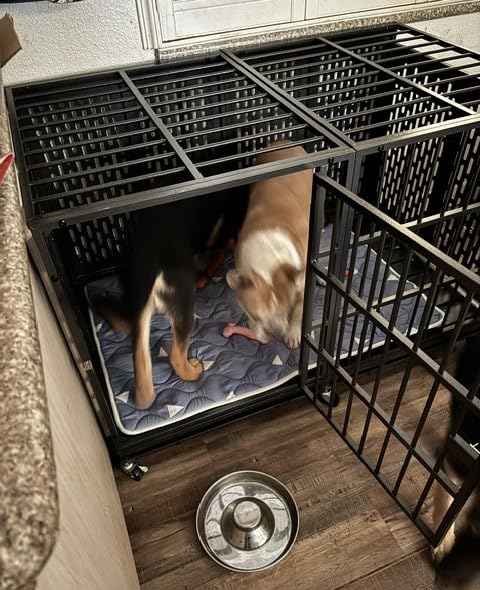 Snuowu 38 Inch Heavy Duty Dog Crate with Wheels, Metal Big Dog Cage for Large and Medium Dogs, Extra Large XL XXL Indestructible Dog Crate with Removable Tray. customer photo 2