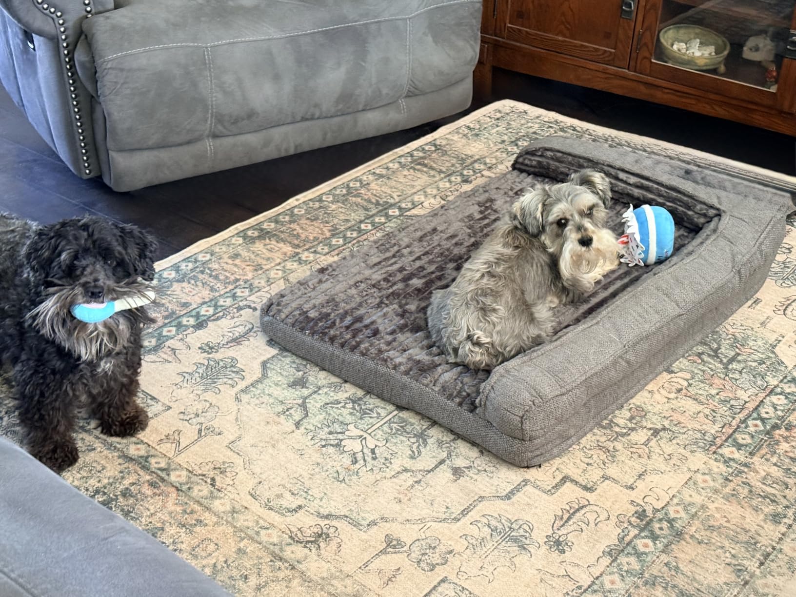 WINDRACING Orthopedic Dog Beds for Medium Dogs, Waterproof Egg Foam Dog Sofa Bed with L Bolster Sides, Washable Medium Pet Bed with Removable Cover & Non-Slip Bottom, 36 x 23 inch, Gray customer photo 2