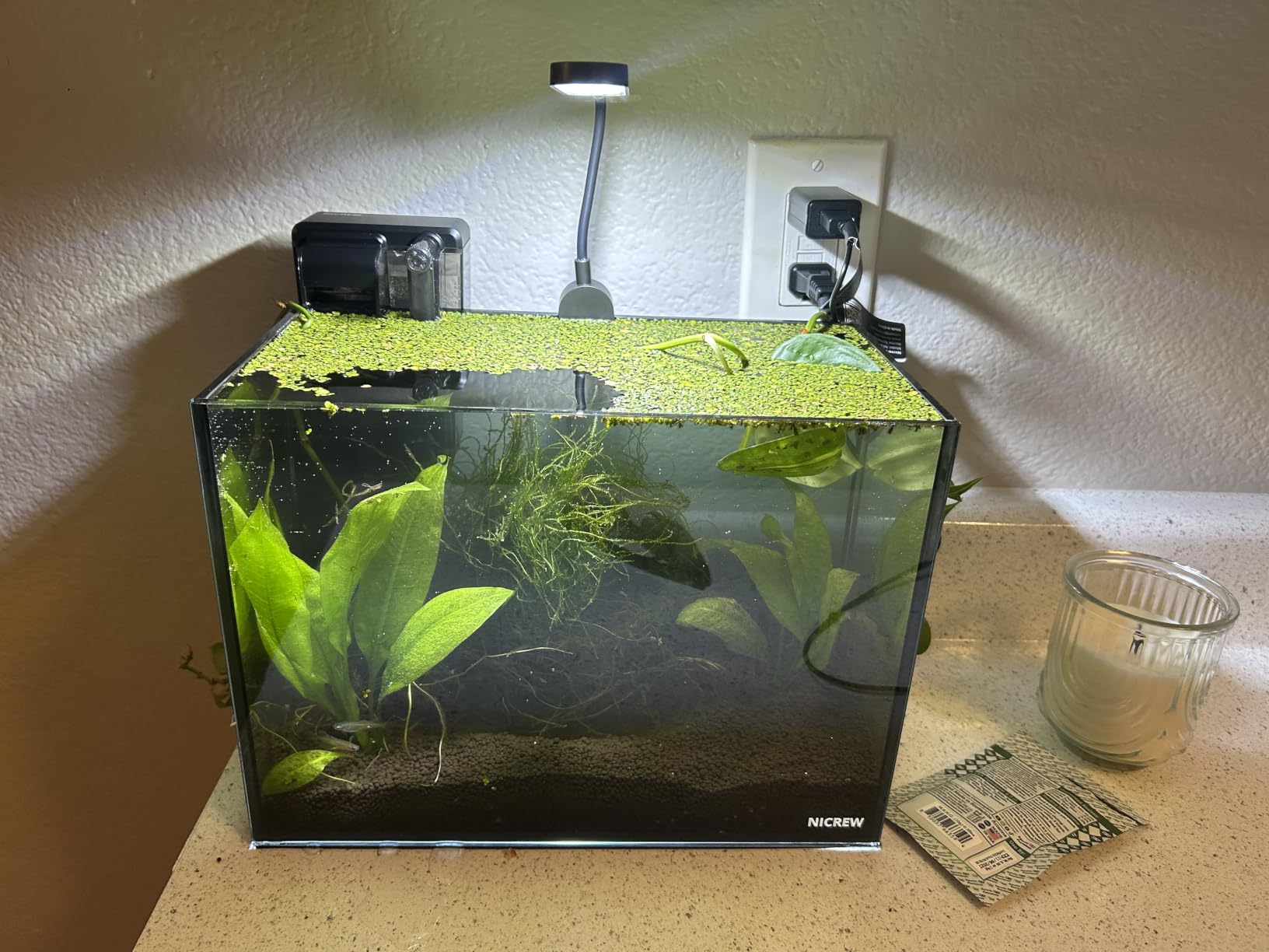 NICREW 2.5 Gallon Nano Nature Aquarium Kit Betta Fish Tank, Basic, Black customer photo 1