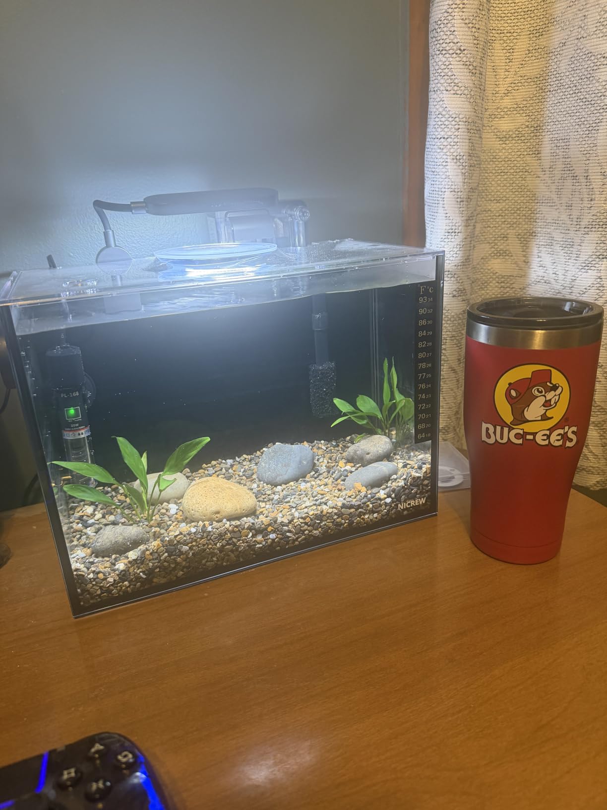 NICREW 2.5 Gallon Nano Nature Aquarium Kit Betta Fish Tank, Complete, Black customer photo 1