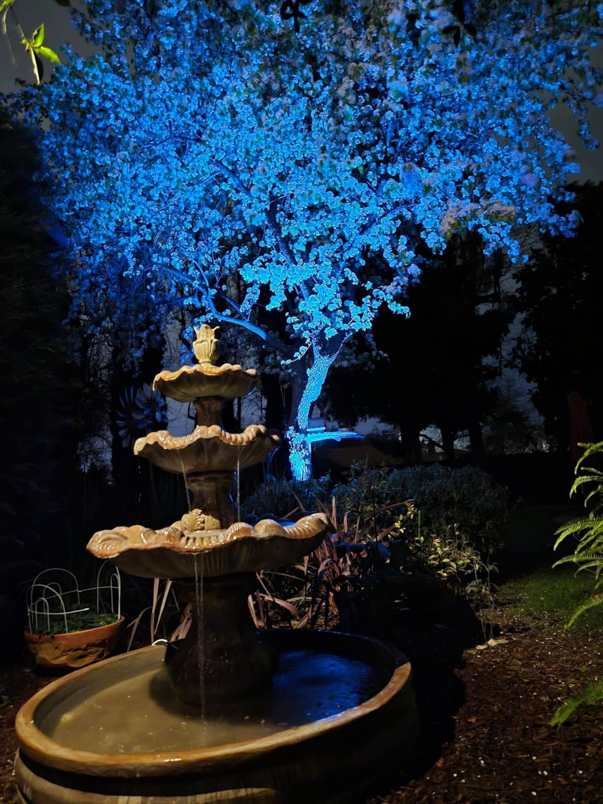 ZUCKEO All-in-One RGBW Landscape Lighting Kit, 5W Color Changing Low Voltage Landscape Lights with Transformer and 80FT Wire, LED Multi-Color Landscape Spotlights for Holiday Yard Garden House, 8Pack customer photo 1