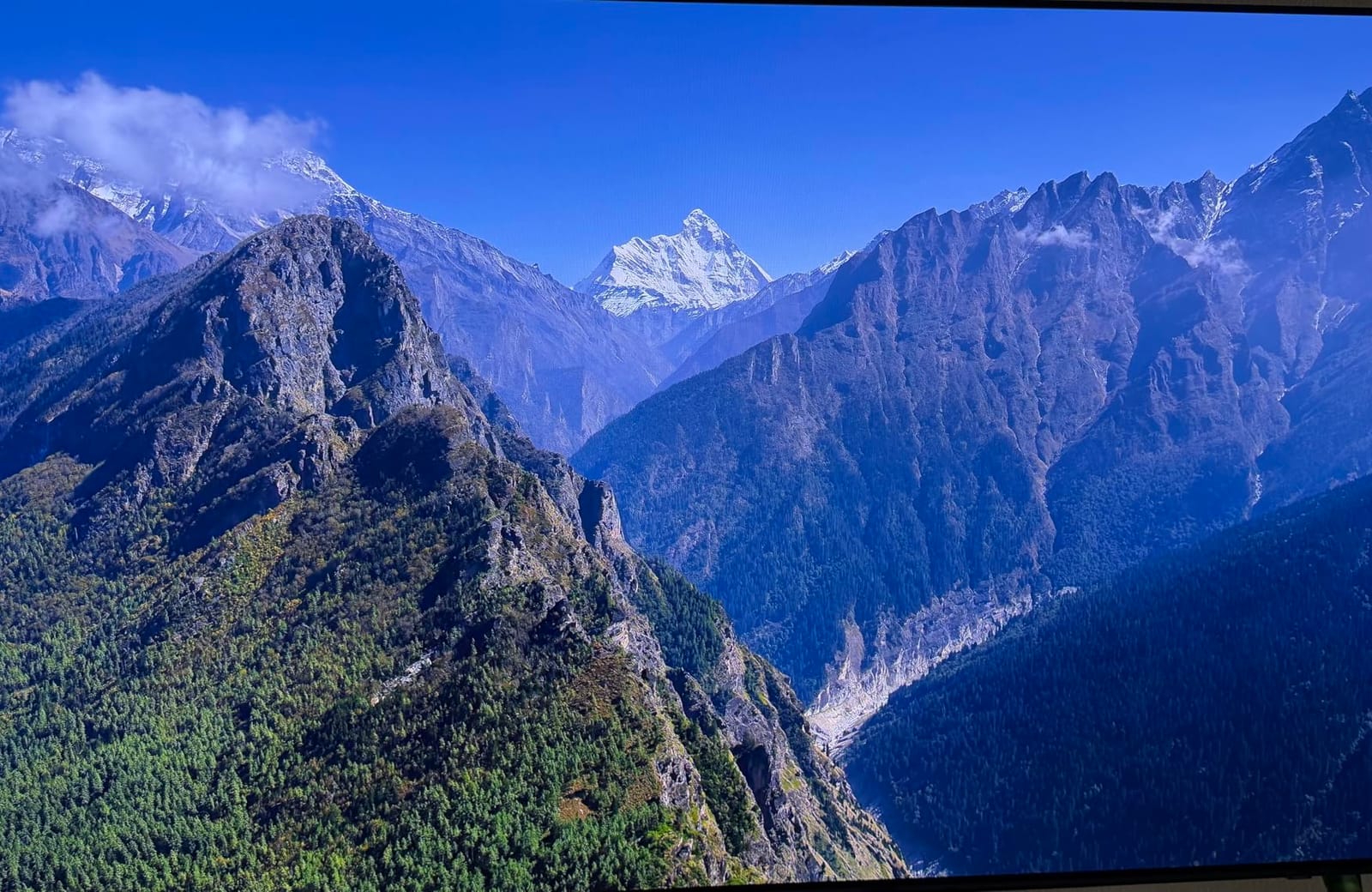 Samsung 65-Inch Class OLED S90F 4K Smart TV (2025 Model) NQ4 AI Gen3 Processor Upscaling Pro HDR +, Motion Xcelerator 144Hz, Vision Alexa Built-in customer photo 1