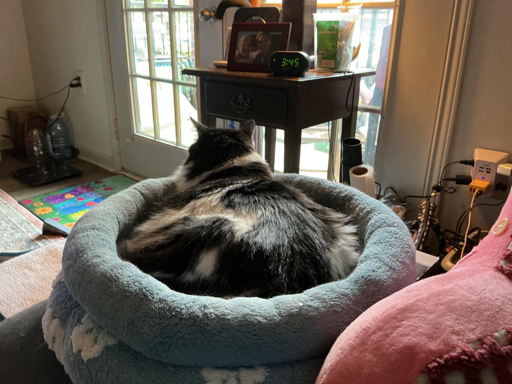 BALANCE Luxury Donut Dog Bed, 30 Inches Round Dog Bed Medium Size Dogs Washable, Orthopedic Calming Dogs Bed for Pets with Anti-Slip Bottom, Oatmeal customer photo 1