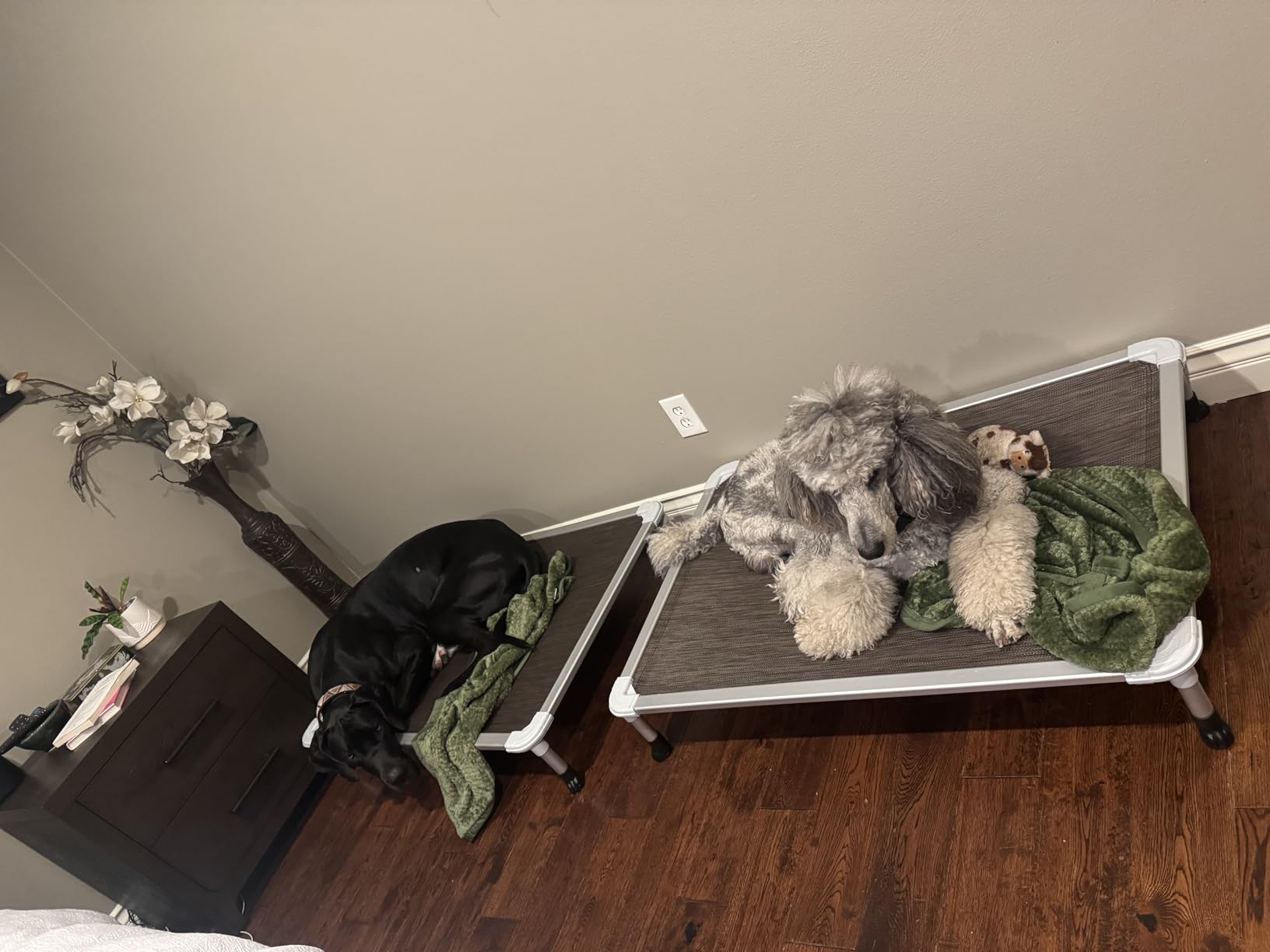 Veehoo Chew Proof Elevated Dog Bed, Cooling Raised Pet Cot, Silver Aluminum customer photo 1