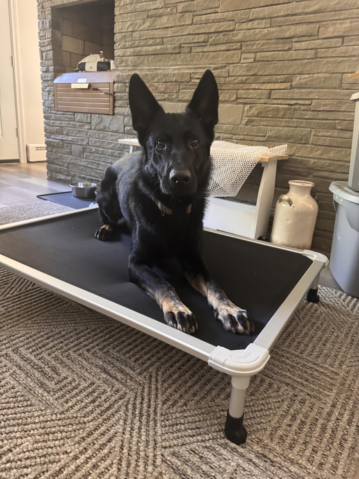 Veehoo Chew Proof Elevated Dog Bed, Cooling Raised Pet Cot, Silver Aluminum customer photo 2