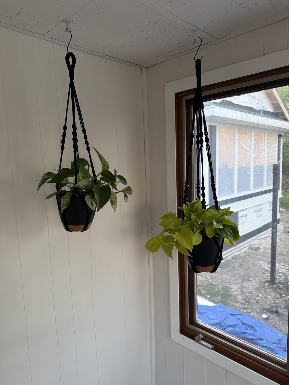 3 Pack Self Watering Hanging Planters for Indoor Plants Large 10/8/7 Inch | Hanging Pots with Macrame Plant Hangers, Drainage Reservoirs and Hooks, White customer photo 2