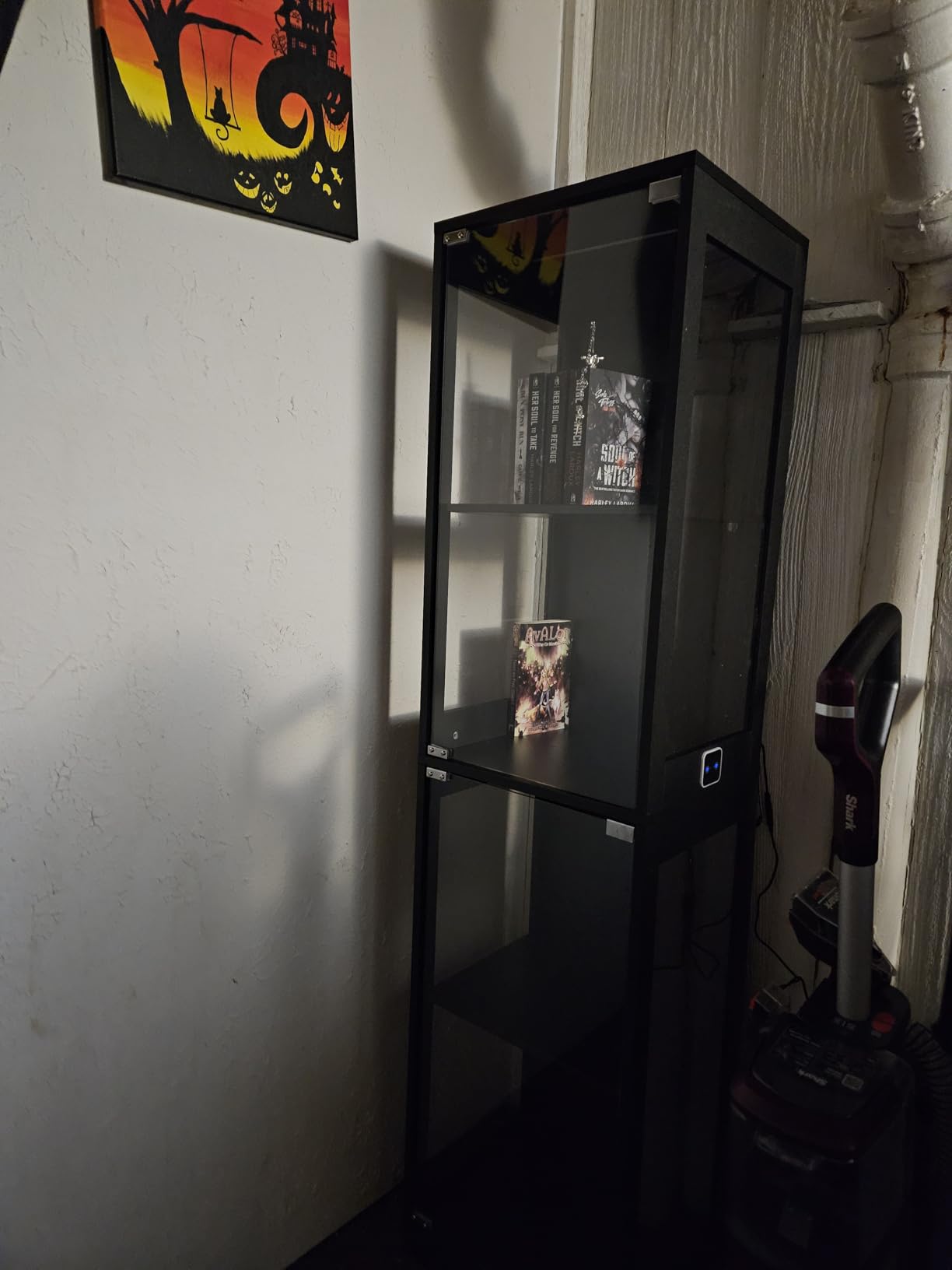 BROTTAR Glass Display Cabinet, Display Case for Collectibles, Black customer photo 2