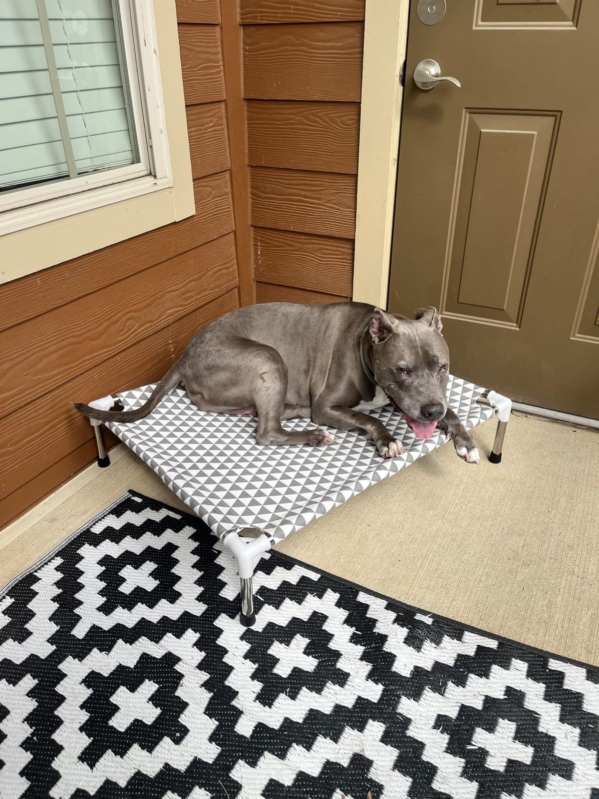 Orthopedic Dog Beds for Large Dogs,U-Shaped Bolster ,Up to 130 lbs customer photo 1