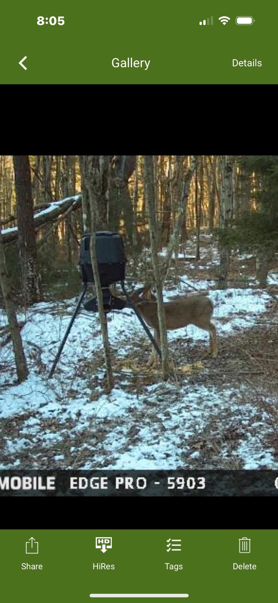 Moultrie Gravity Deer Feeder - Tripod Game Feeder - Easy Conversion Adapter - Protein Pellet Ready - Rugged No-Power Setup for Deer Management customer photo 1