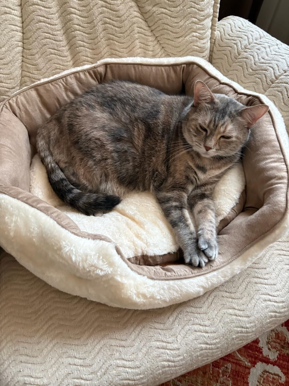 Bedsure Medium Dog Bed Washable, Large Cat Beds for Indoor Cats, 28in Camel customer photo 2