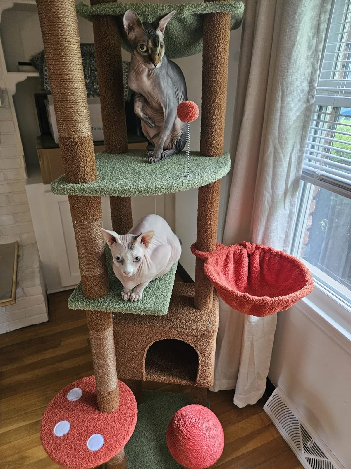 PEQULTI Floor to Ceiling Cat Tree, Adjustable 83-108in 5-Level Tower, Beige customer photo 1