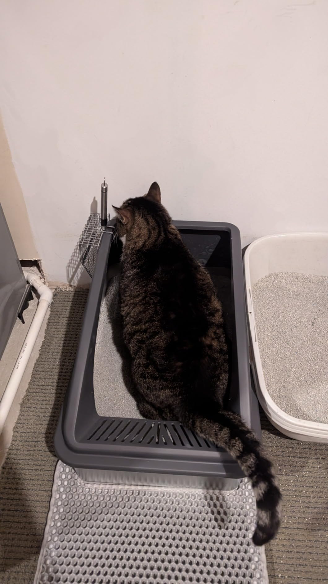 Stainless Steel Litter Box Extra Large for Big Cats Multi-Cats, Jumbo Extra Large Metal Cat Litter Box with High Sided Lid, Anti-Urine Leakage, Non-Stick,Include Litter Scoop customer photo 1
