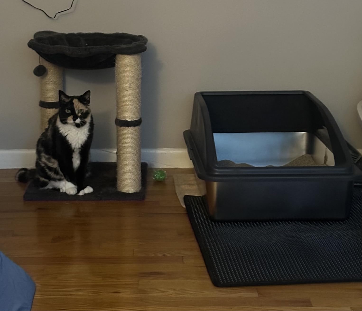 AIPERRO Stainless Steel Litter Box Extra Large for Big Cats and Multi-Cats customer photo 1