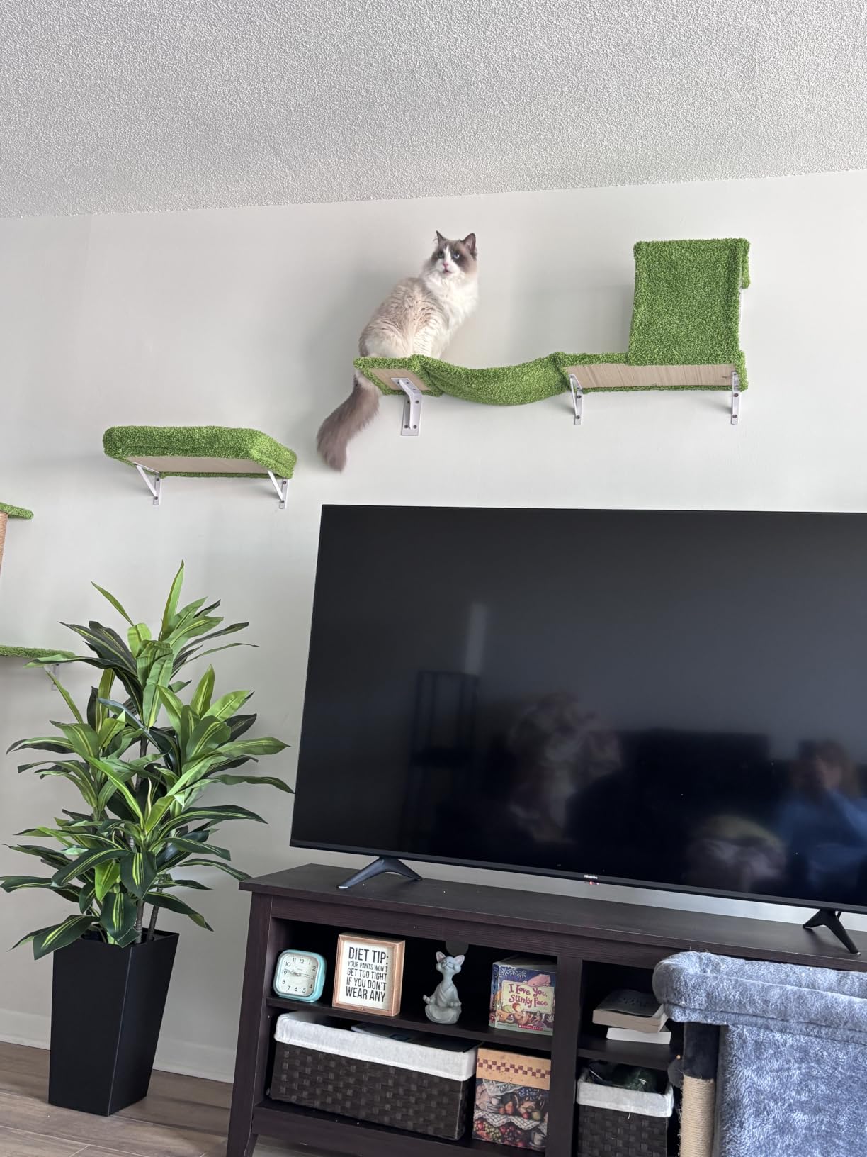 FUKUMARU Cat Wall Shelves, 4 in 1 Set, Light Gray customer photo 2