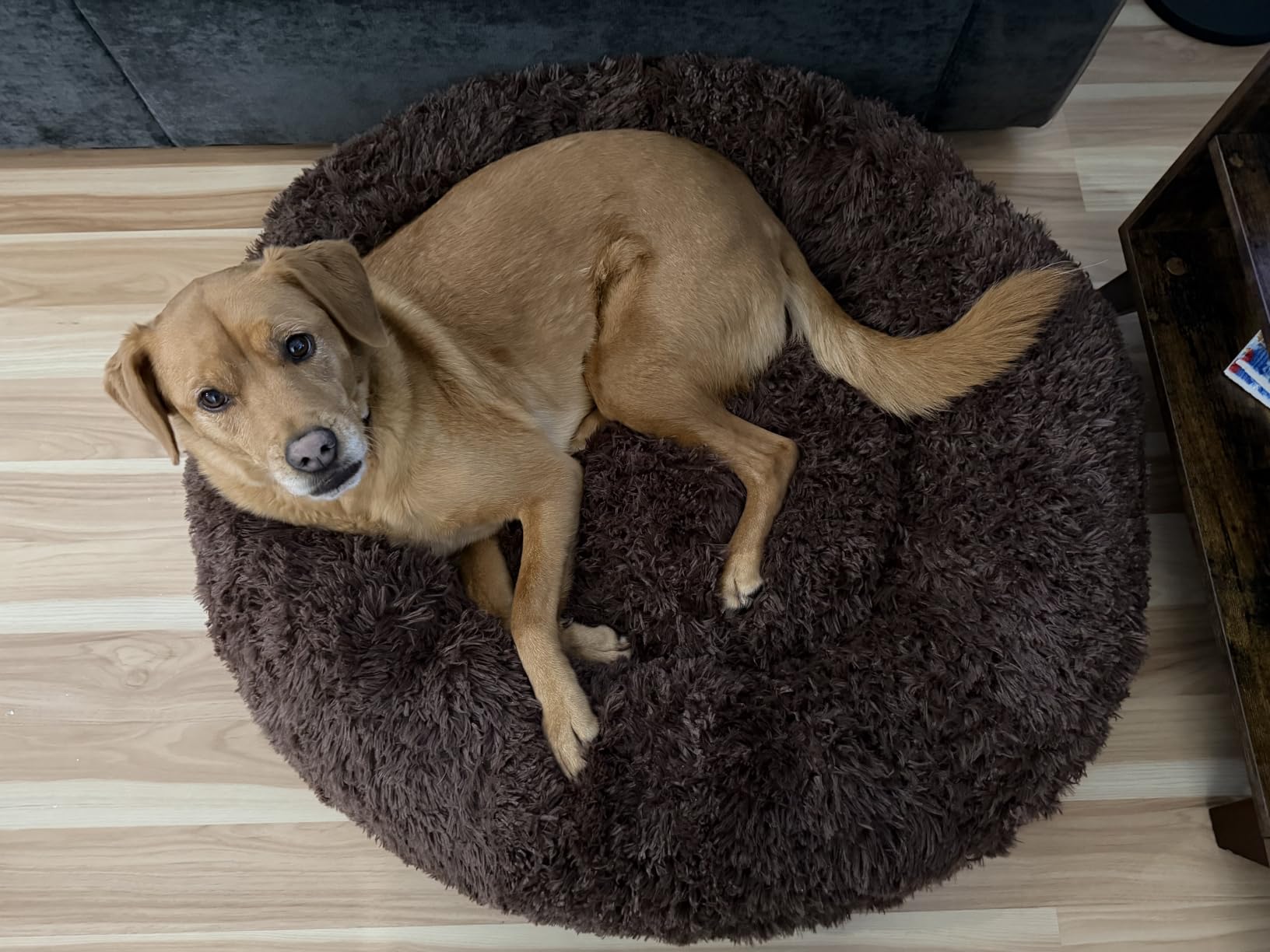 Bedsure SupportMax Calming Dog Beds Large Sized Dog Washable Pet Bed, 36in customer photo 1