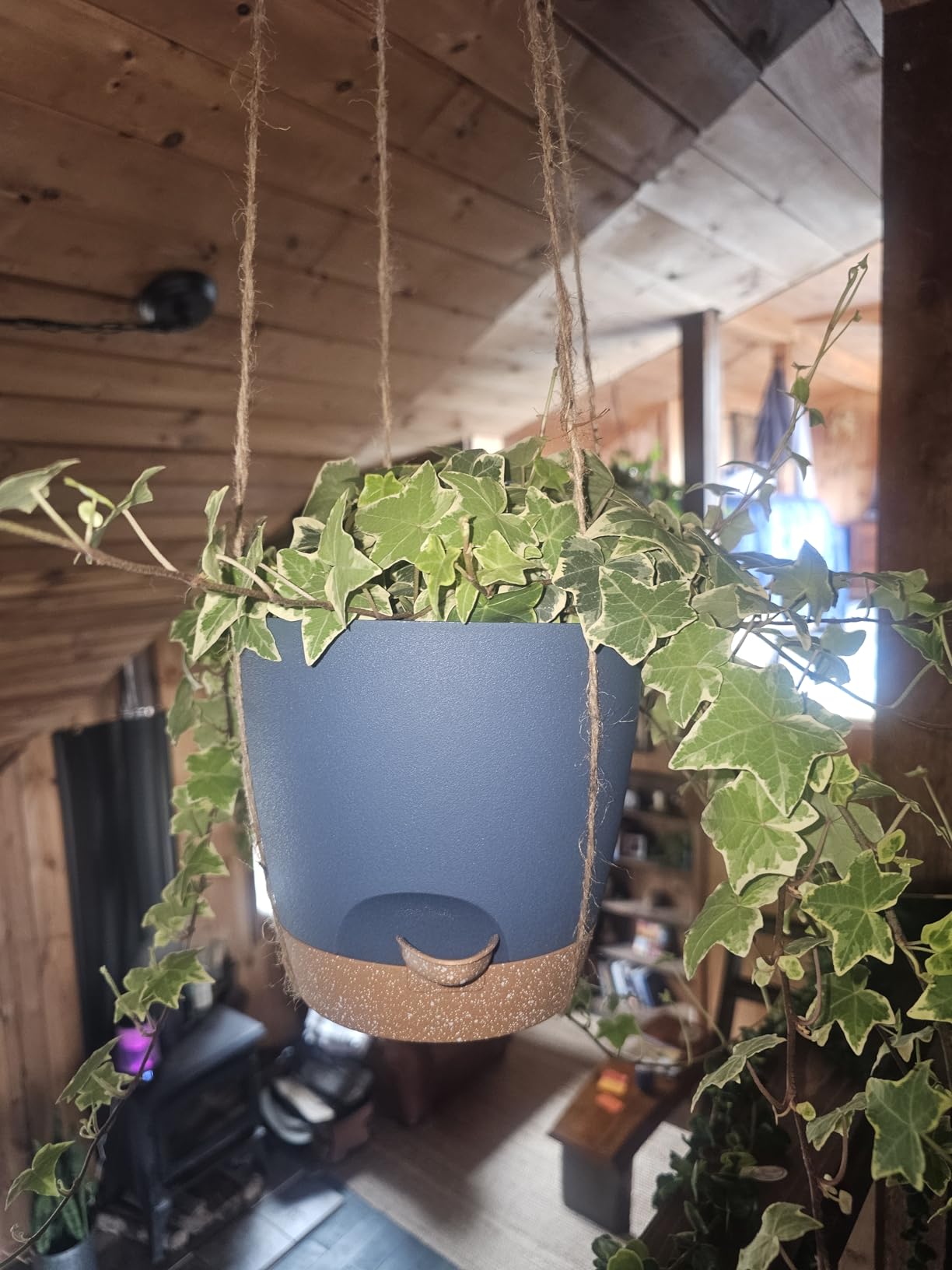 Self Watering Pots for Indoor/Outdoor Plants 8/7/6.5/6/5