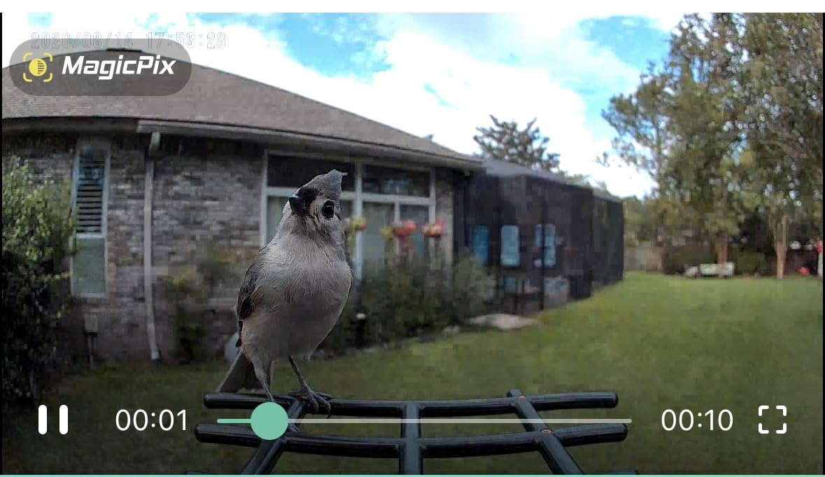 HEAPETS Bird Feeder with Camera Solar Powered, 3K HD Video, AI Bird Recognition, Auto Capture with Instant Notifications, IP65 Weatherproof, Gifts for Seniors Bird Watchers, Brown customer photo 1