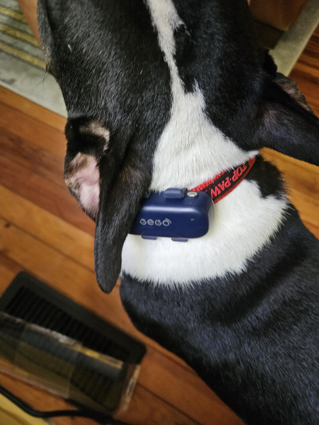 GEGOPet – Real-Time GPS Pet Tracker for Dogs & Cats, Unlimited Range, Safe Zones, Escape Alerts, Location History, Activity & Wellness Insights. Active Subscription Required. customer photo 1