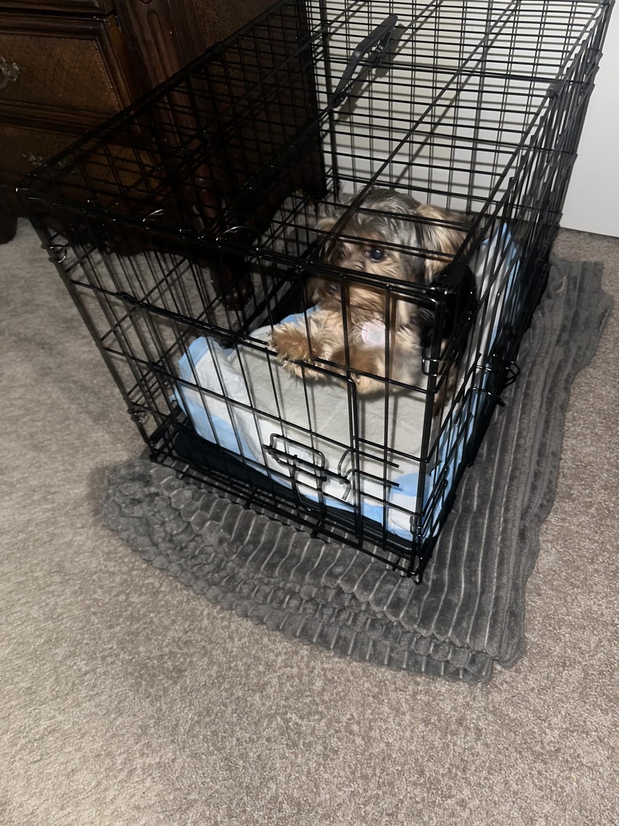 Sweetcrispy Dog Crate 48 Inch, Medium Large Dog Cage, Foldable Pet Kennel customer photo 1