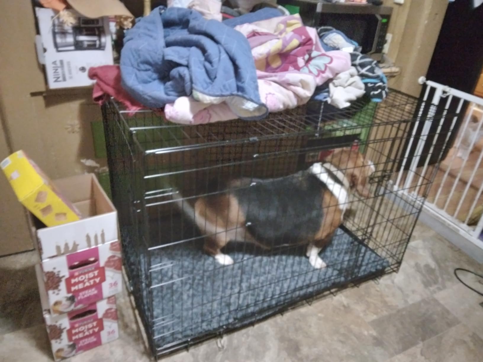 DUMOS 48 Inch Dog Crate, Foldable Medium Large Dog Cage Pet Kennel customer photo 2
