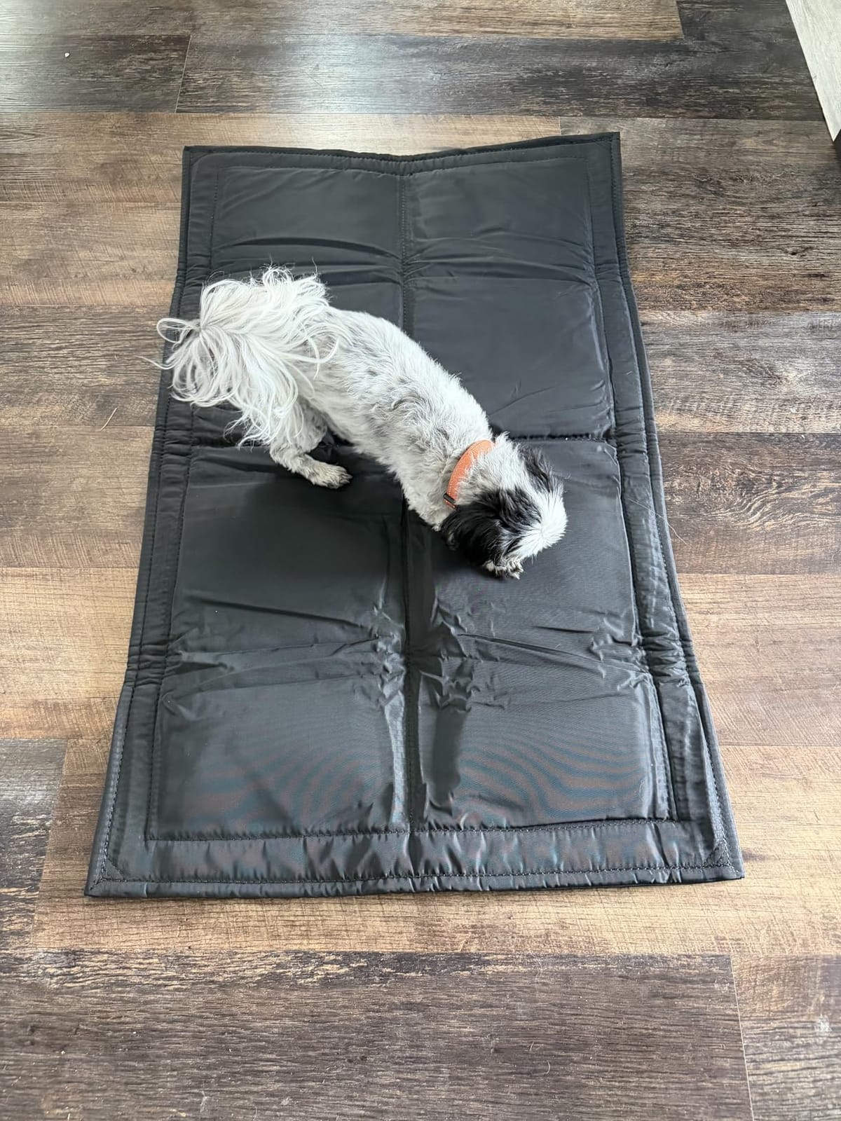 Chew Proof Indestructible Dog Bed, Durable Dog Crate Pad, X-Small (17