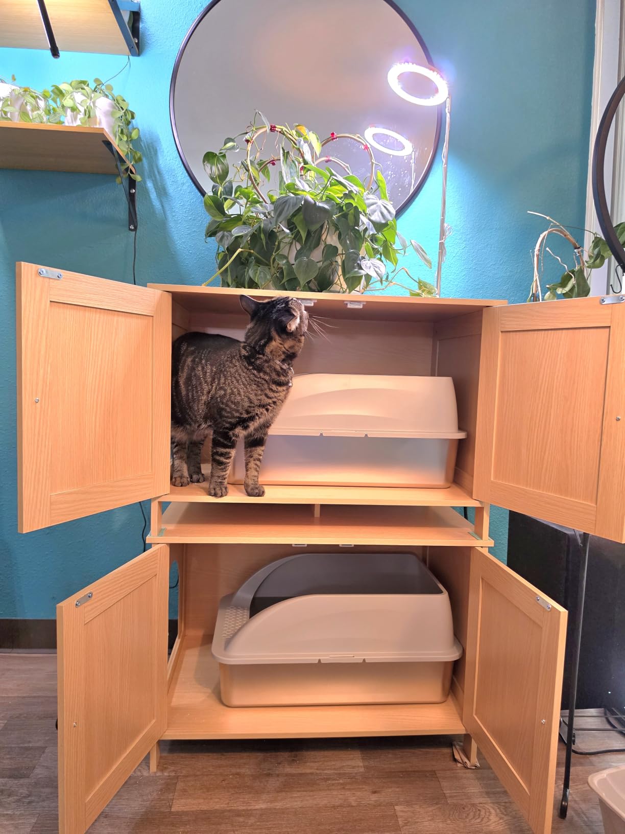 XL Open Top Stainless Steel Litter Box with High Sides,Light Gray customer photo 1