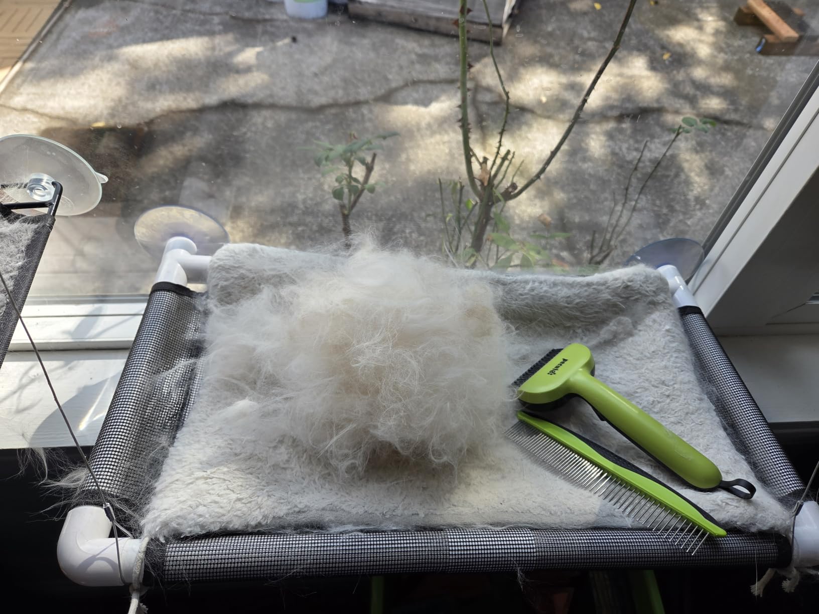 Pecute Self-Cleaning Undercoat Rake for Dogs Cats with Long/Double Coats customer photo 2