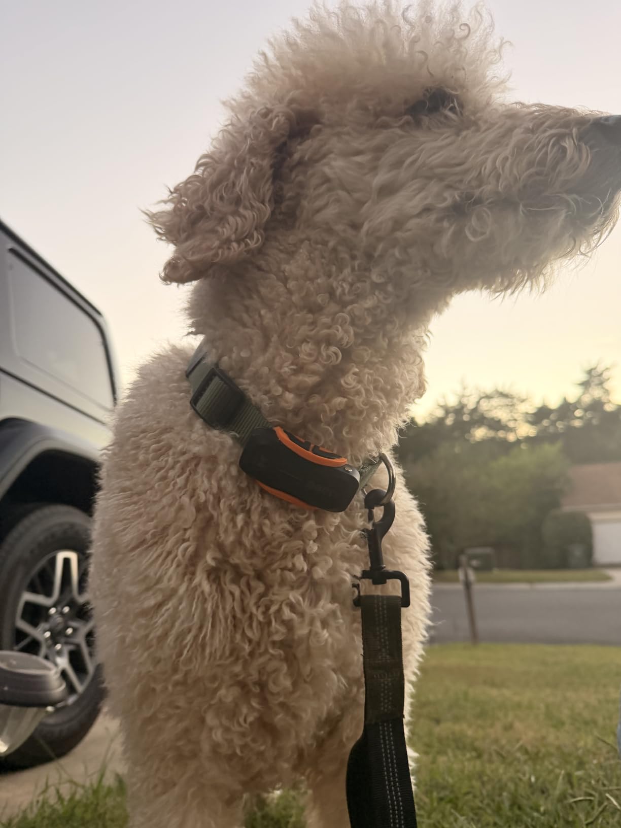 DBDD GPS Dog Tracker with Subscription,Virtual Fence&Health Monitor,IP67,BK customer photo 2