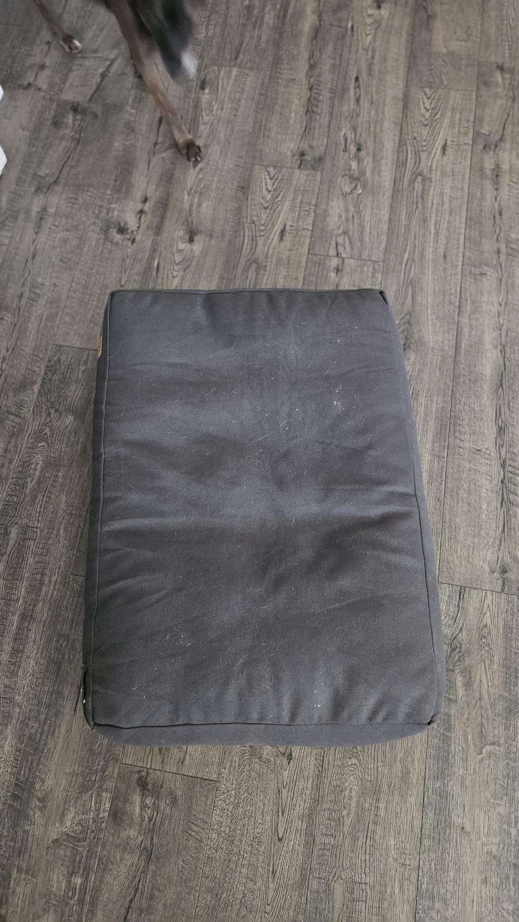 Sytopia 42 Inch Indestructible Dog Bed for Aggressive Chewers, Chew Proof Durable Waterproof Pet Bed with Machine Washable Removable Cover, Outdoor Indoor Patio Pet Pad for Crate, Dark Grey customer photo 2