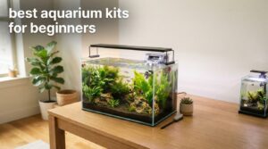 best aquarium kits for beginners