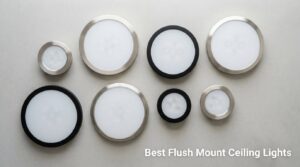 Best Flush Mount Ceiling Lights