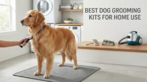 best dog grooming kits for home use
